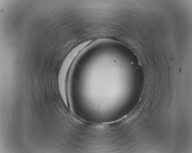 X0000064730432200602171646