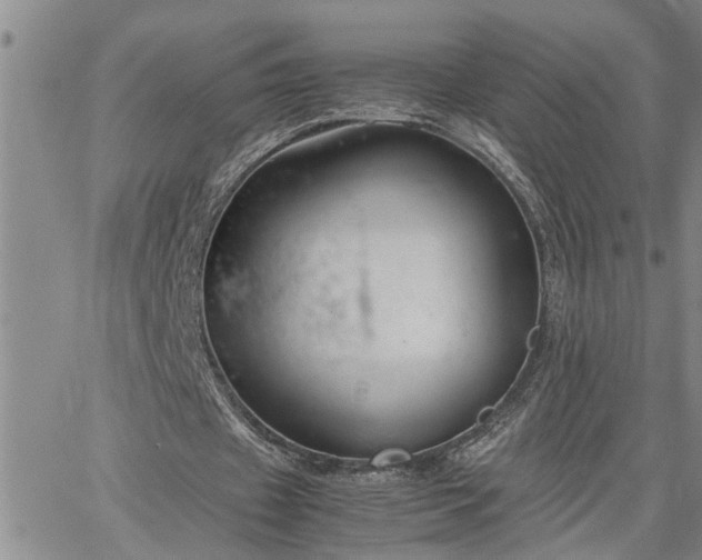 X0000064730433200602171645