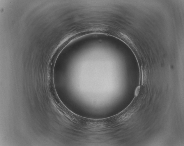 X0000064730435200602171645