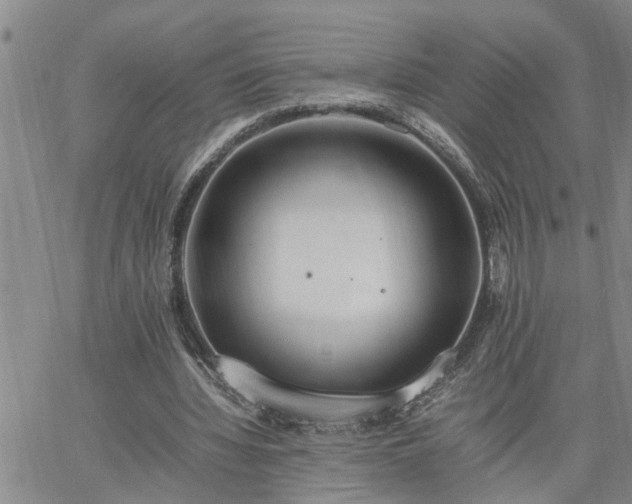 X0000064730436200602171645