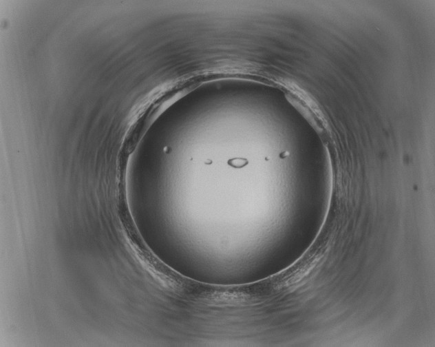 X0000064730437200602171645