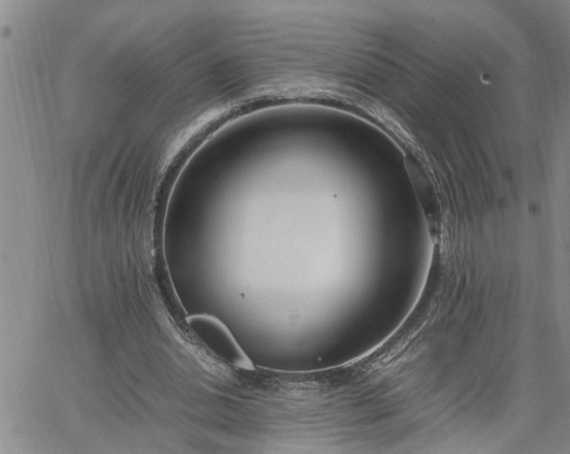 X0000064730438200602171645