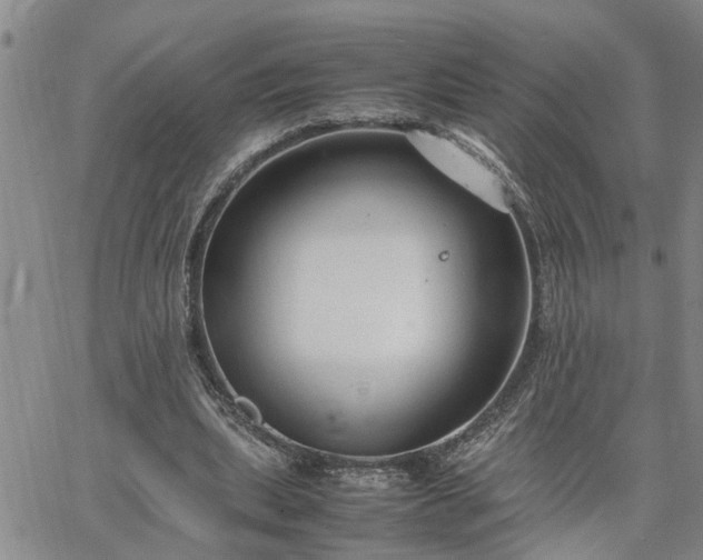 X0000064730439200602171645