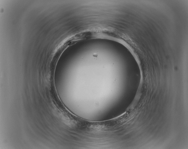 X0000064730440200602171646