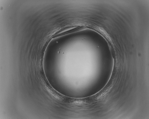 X0000064730441200602171646