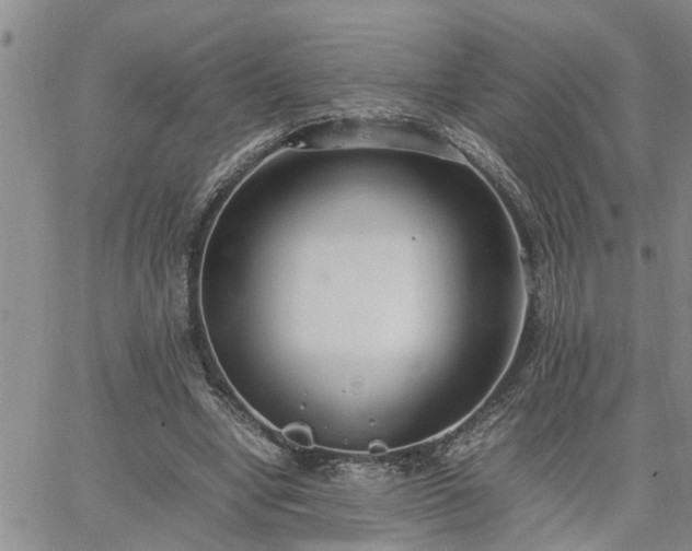 X0000064730442200602171646