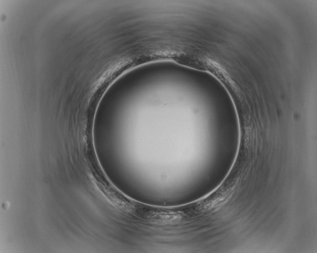 X0000064730443200602171646