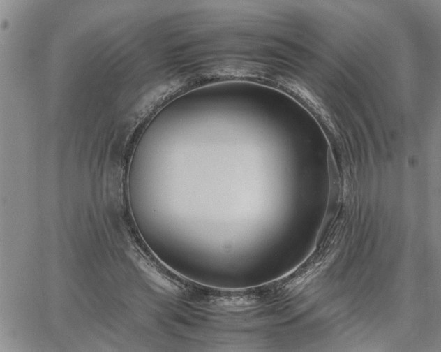 X0000064730445200602171646