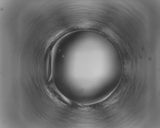 X0000064730446200602171646