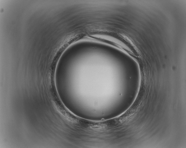 X0000064730447200602171646