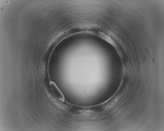 X0000064730448200602171646