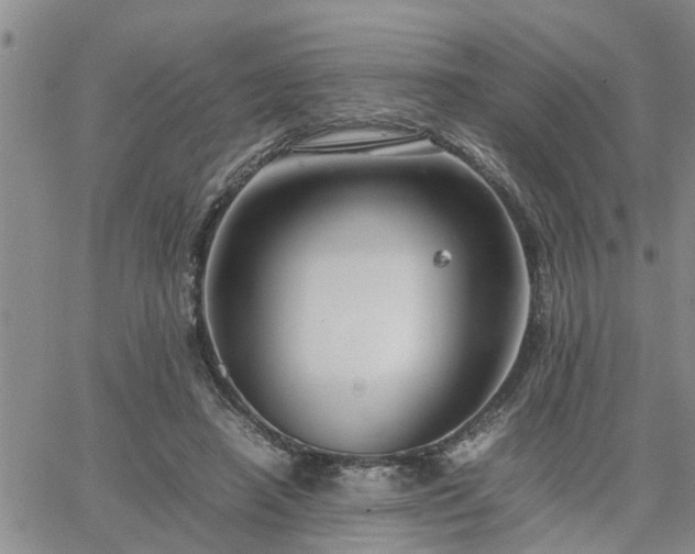 X0000064730450200602171646