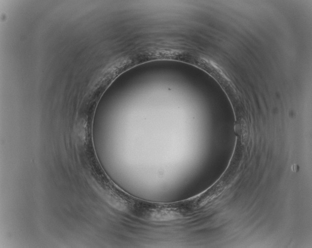 X0000064730451200602171646