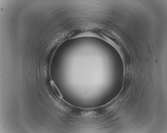 X0000064730452200602171646