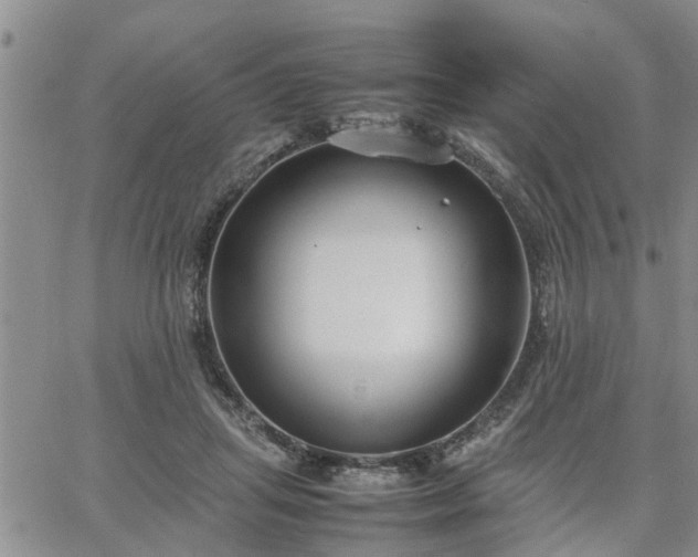 X0000064730455200602171646