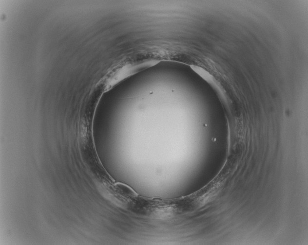 X0000064730456200602171646