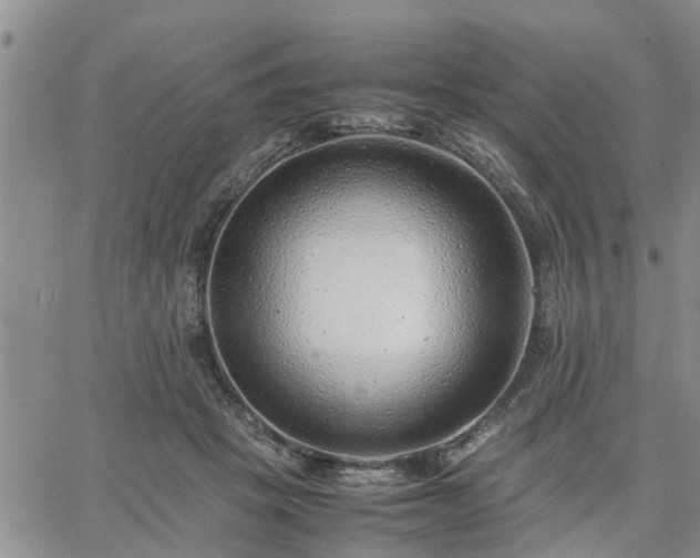 X0000064730457200602171646