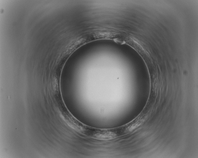 X0000064730459200602171646