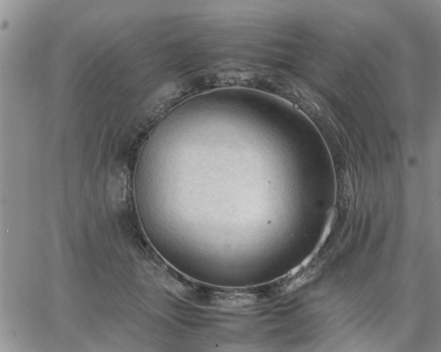 X0000064730463200602171646