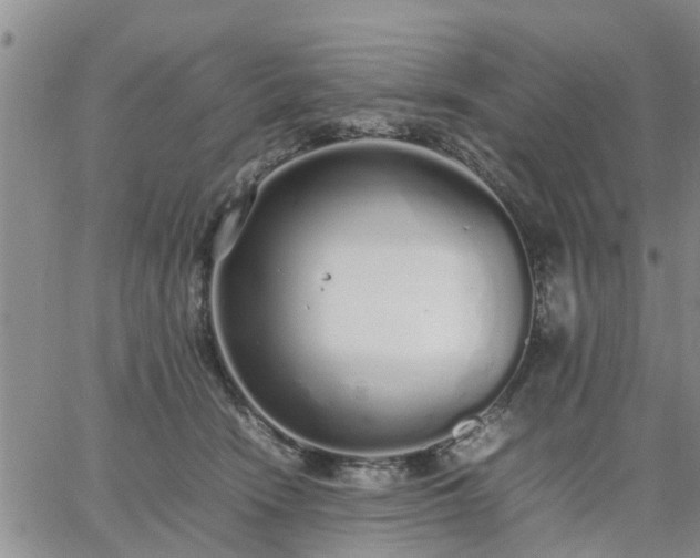 X0000064730466200602171646