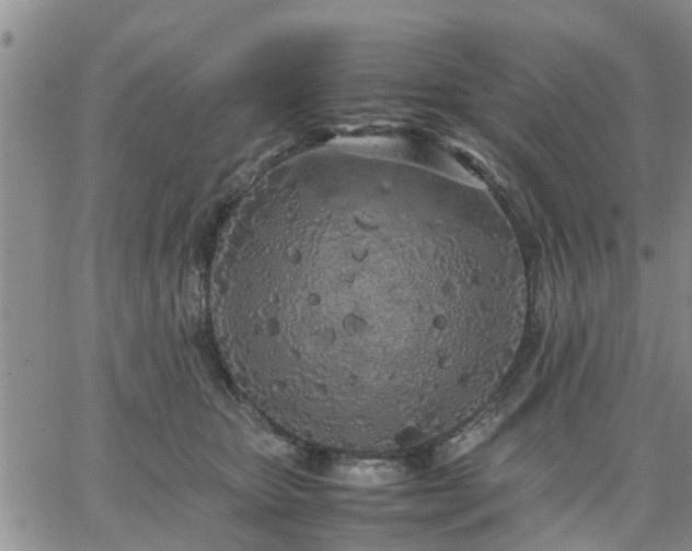 X0000064730467200602171646