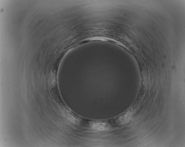 X0000064730471200602171646