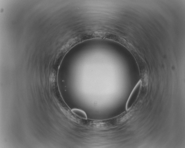 X0000064730472200602171646