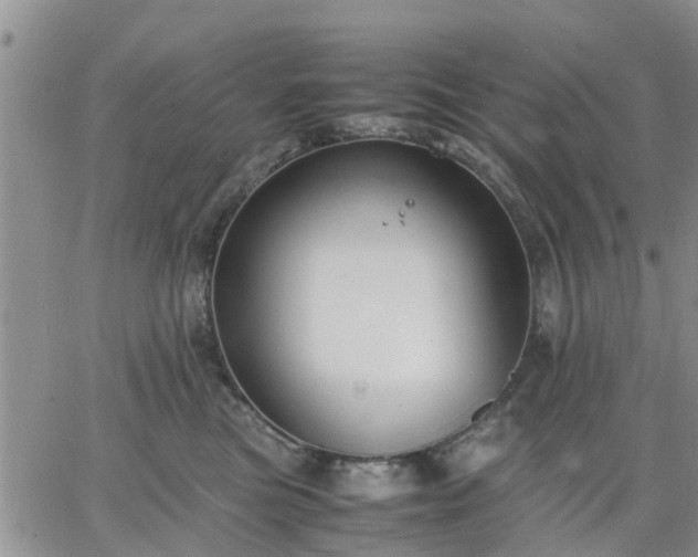 X0000064730473200602171646