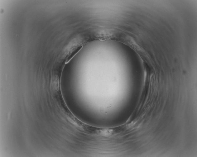 X0000064730474200602171646