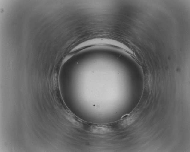 X0000064730475200602171646