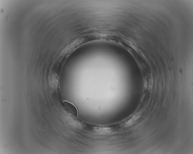 X0000064730476200602171646