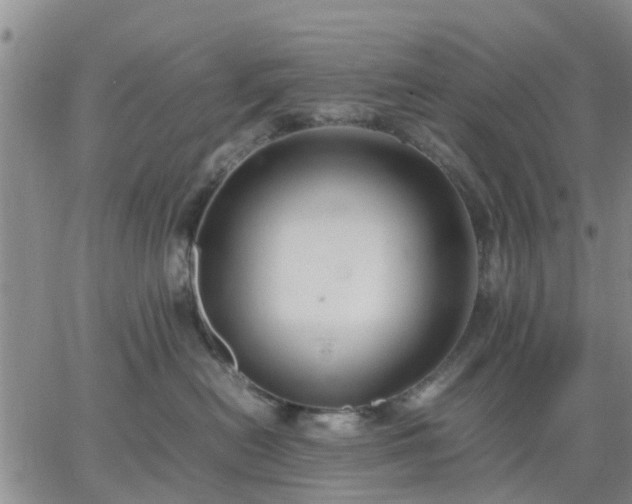 X0000064730478200602171646