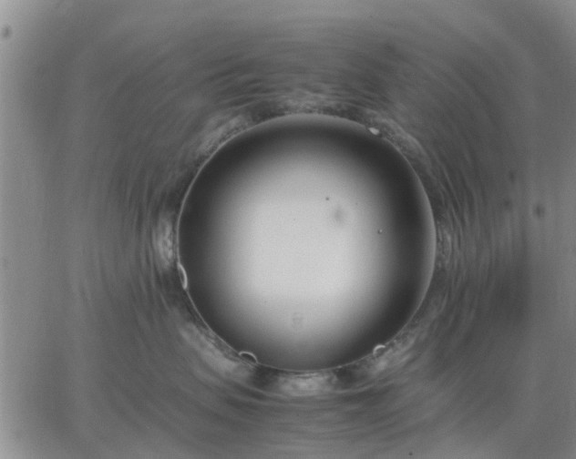 X0000064730479200602171646