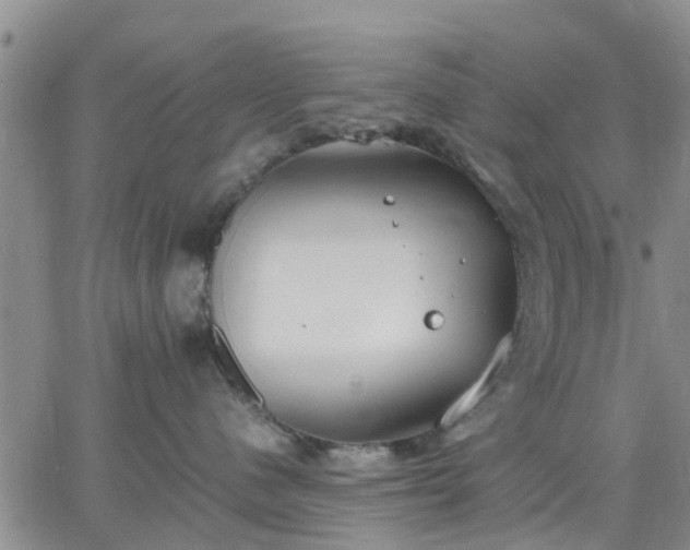 X0000064730480200602171646