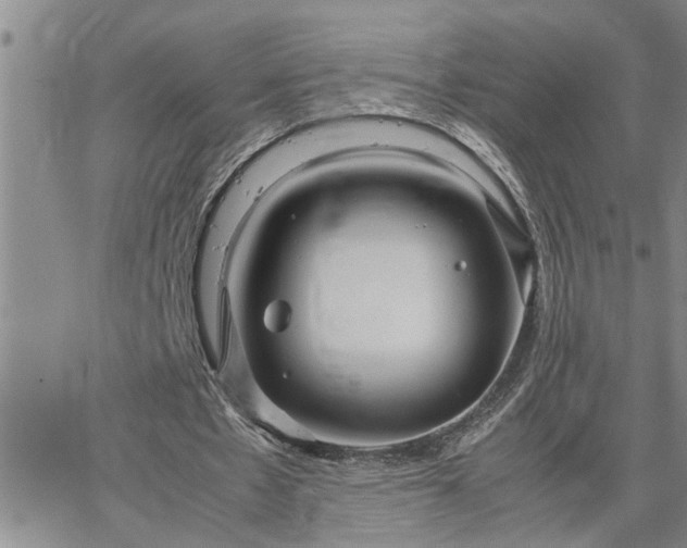 X0000064730481200602171645