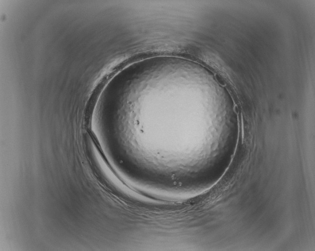 X0000064730483200602171645