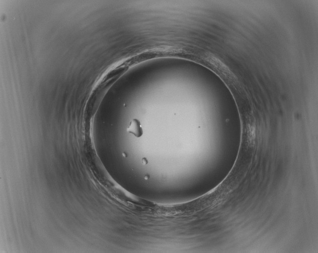 X0000064730484200602171645