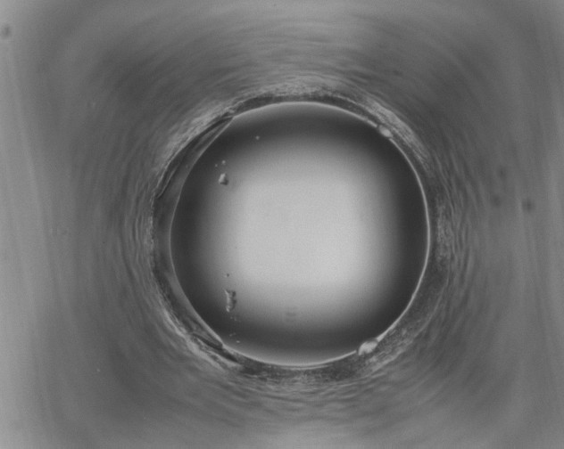 X0000064730485200602171645