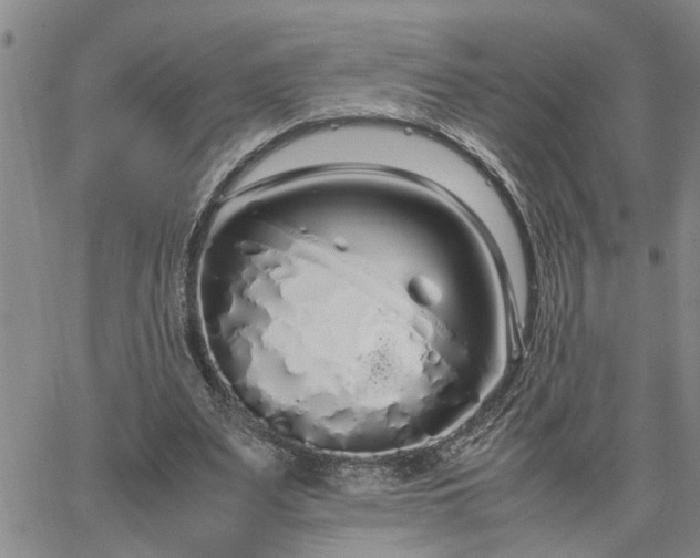 X0000064730487200602171645