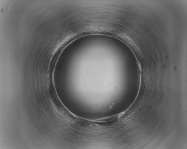 X0000064730488200602171645