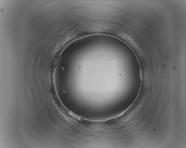 X0000064730489200602171645