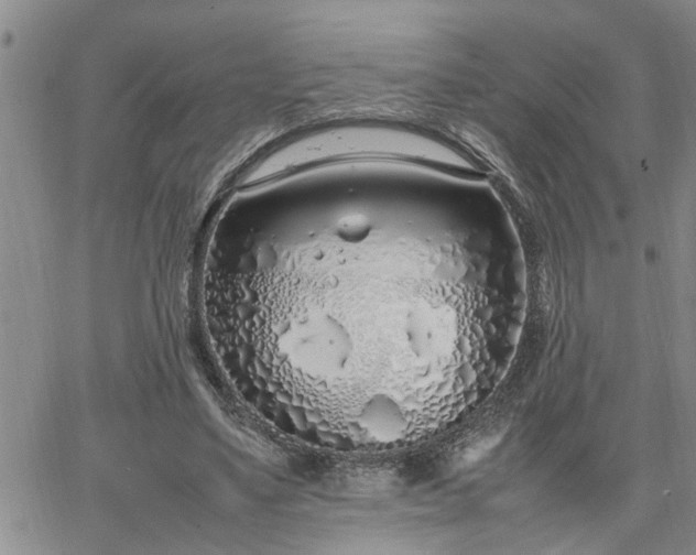 X0000064730491200602171645