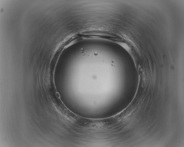 X0000064730492200602171645