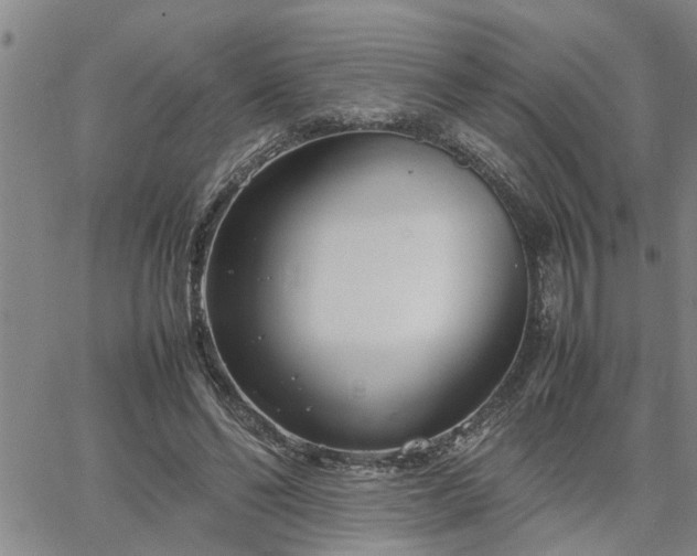 X0000064730494200602171645