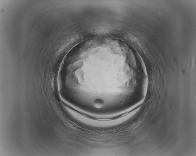 X0000064730495200602171645