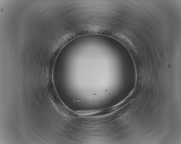 X0000064730496200602171645