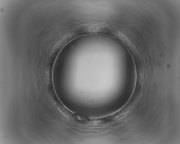 X0000064730497200602171645