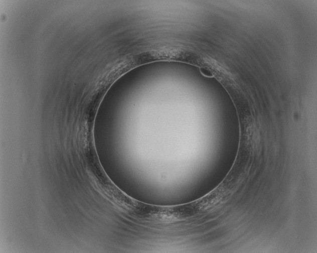 X0000064730498200602171645