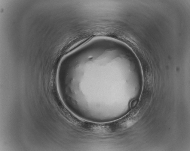 X0000064730499200602171645