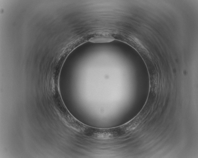 X0000064730500200602171645